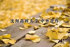 沈阳药科大学(中外合作)近三年录取分数线及位次：四川2022-2024最低分