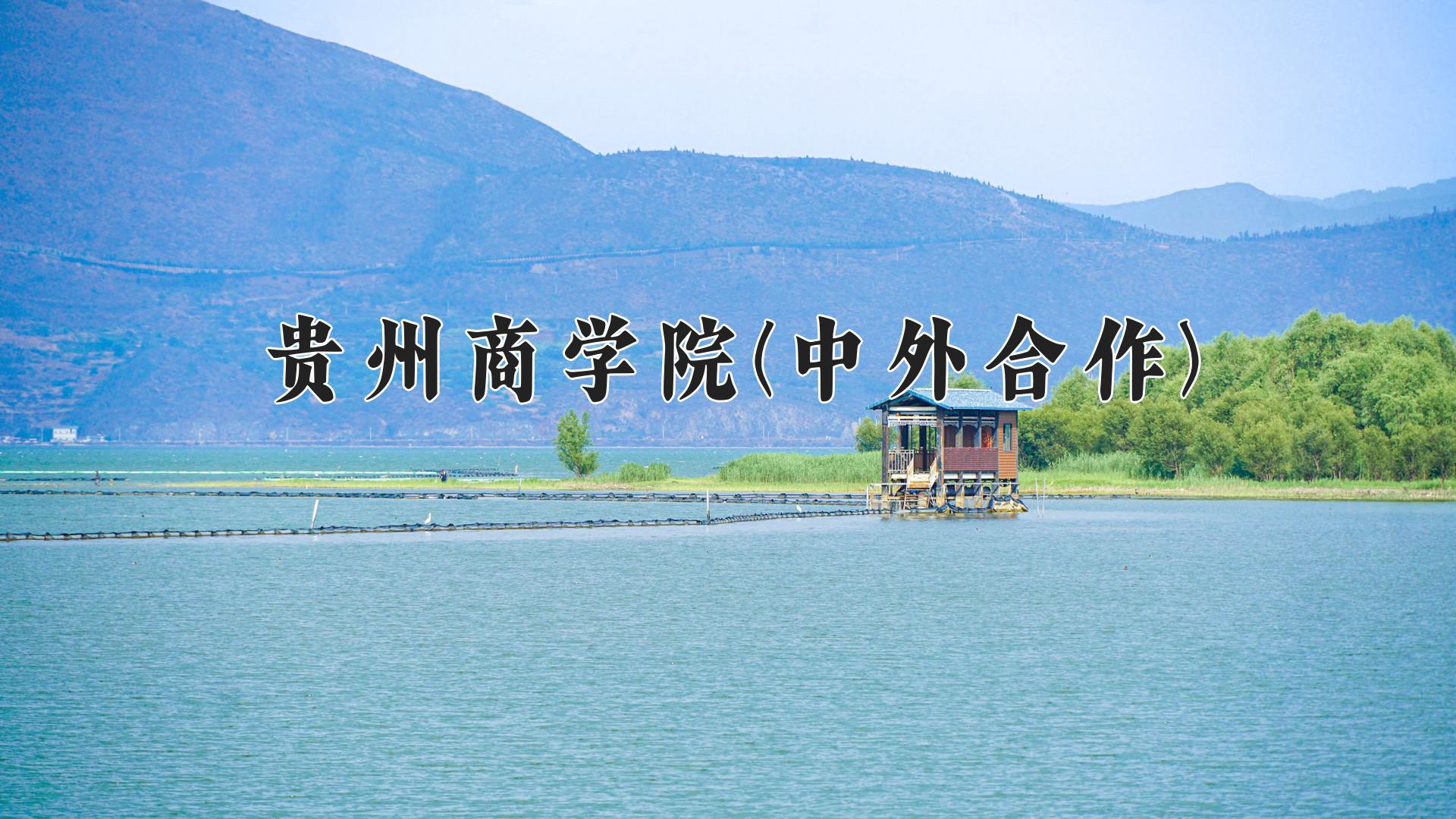 贵州商学院(中外合作)近三年录取分数线及位次：四川2022-2024最低分
