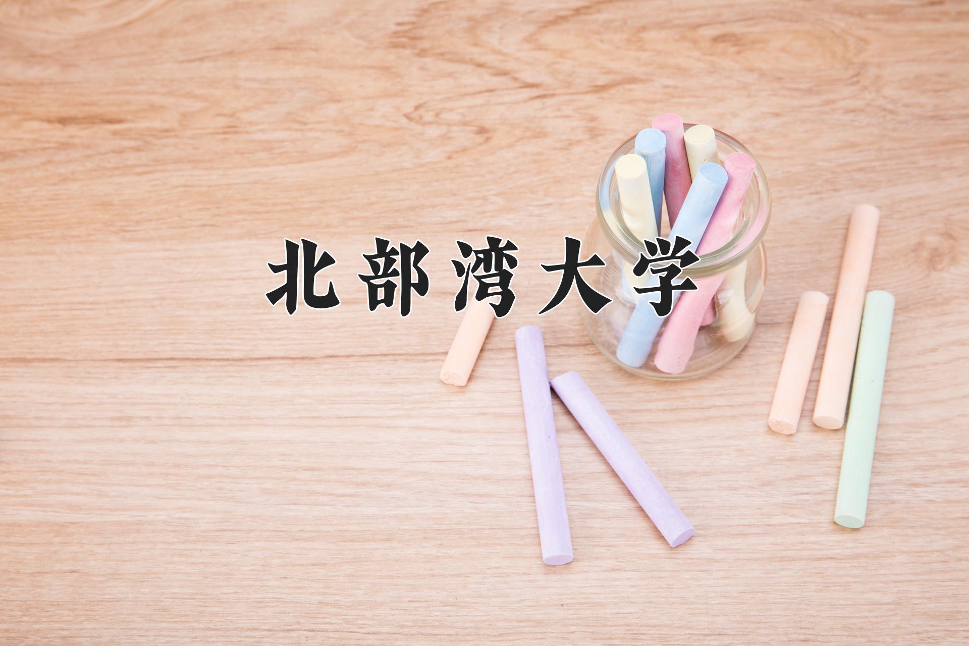 北部湾大学近三年录取分数线及位次:四川2022-2024最低分