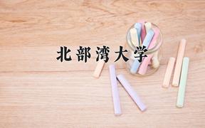 北部湾大学近三年录取分数线及位次：四川2022-2024最低分