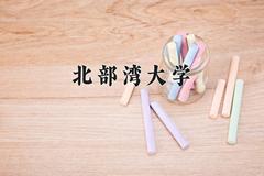 北部湾大学近三年录取分数线及位次：四川2022-2024最低分