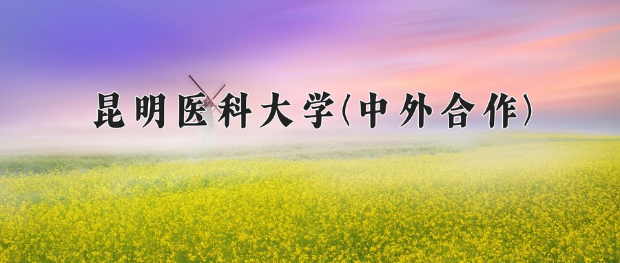 昆明医科大学(中外合作)近三年录取分数线及位次：四川2022-2024最低分