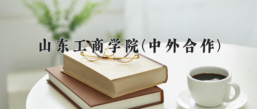 山东工商学院(中外合作)