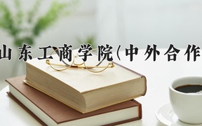 2024年山东工商学院(中外合作)录取分数线，内蒙古最低416分
