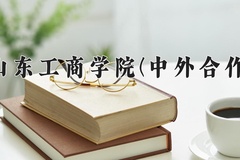 2024年山东工商学院(中外合作)录取分数线，内蒙古最低416分