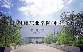 四川财经职业学院(中外合作)近三年录取分数线及位次：四川2022-2024最低分