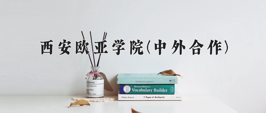 西安欧亚学院(中外合作)近三年录取分数线及位次：四川2022-2024最低分
