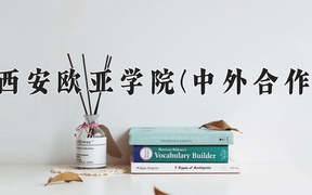 西安欧亚学院(中外合作)近三年录取分数线及位次：四川2022-2024最低分