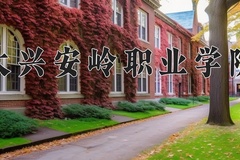2024年大兴安岭职业学院录取分数线，内蒙古最低208分