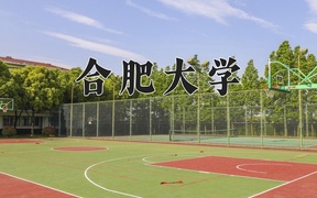 2024年合肥大学录取分数线，内蒙古最低449分