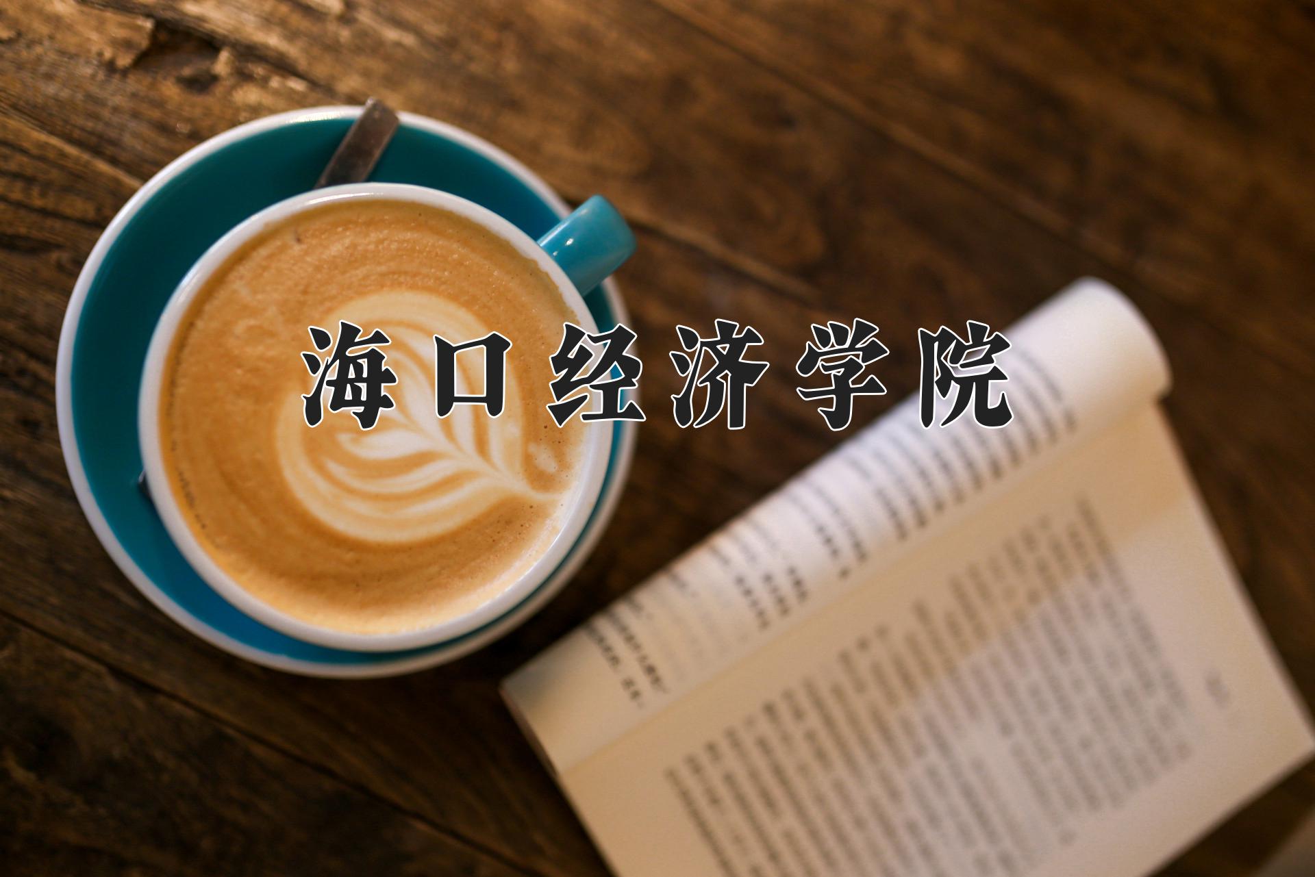 海口经济学院近三年录取分数线及位次：四川2022-2024最低分