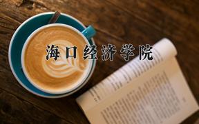 海口经济学院近三年录取分数线及位次：四川2022-2024最低分