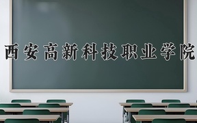 西安高新科技职业学院近三年录取分数线及位次：四川2022-2024最低分