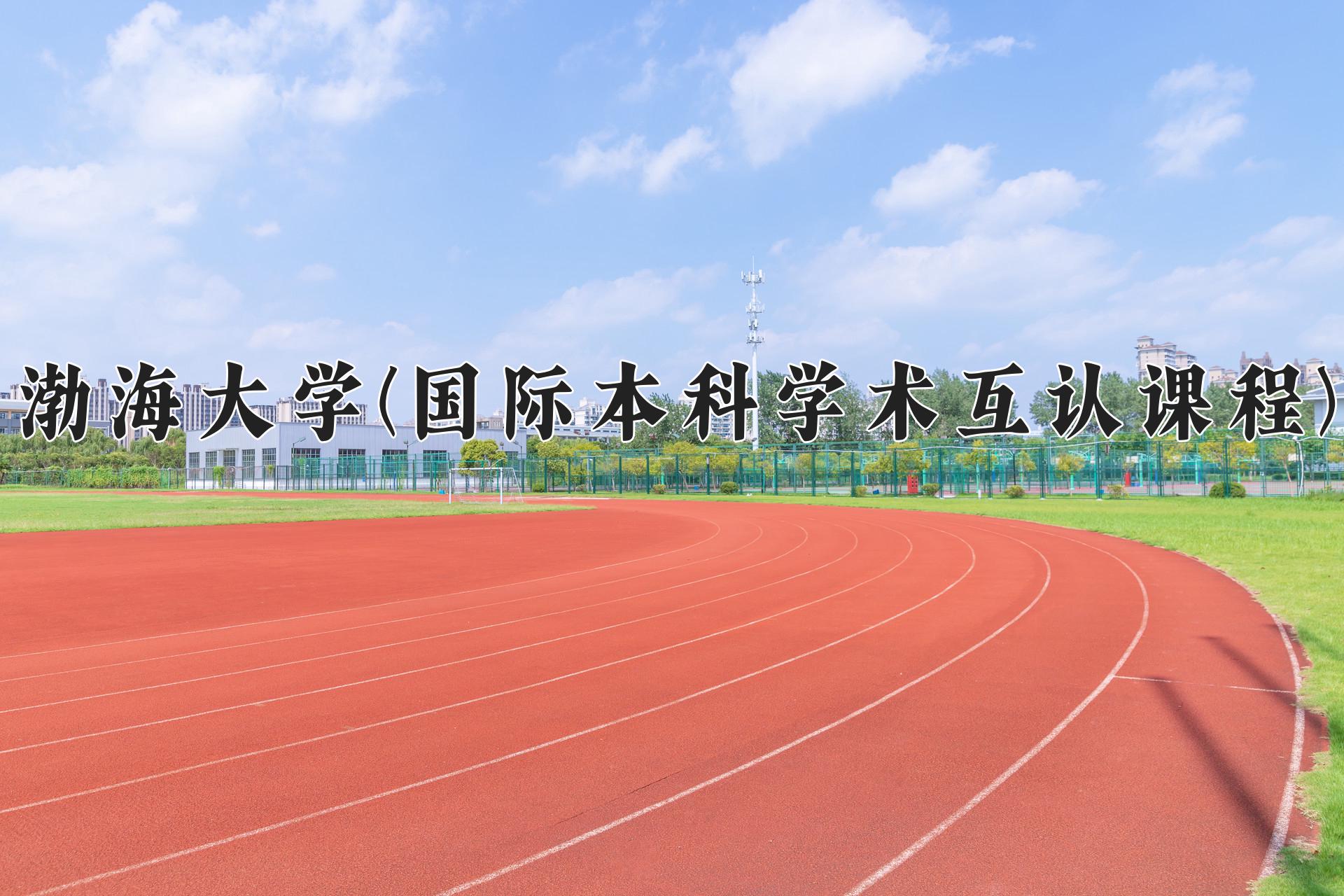 渤海大学(国际本科学术互认课程)近三年录取分数线及位次:四川2022-2024最低分