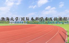 渤海大学(国际本科学术互认课程)近三年录取分数线及位次：四川2022-2024最低分