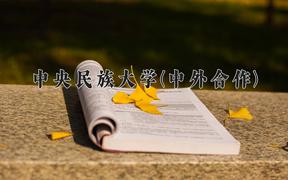 中央民族大学(中外合作)近三年录取分数线及位次：四川2022-2024最低分