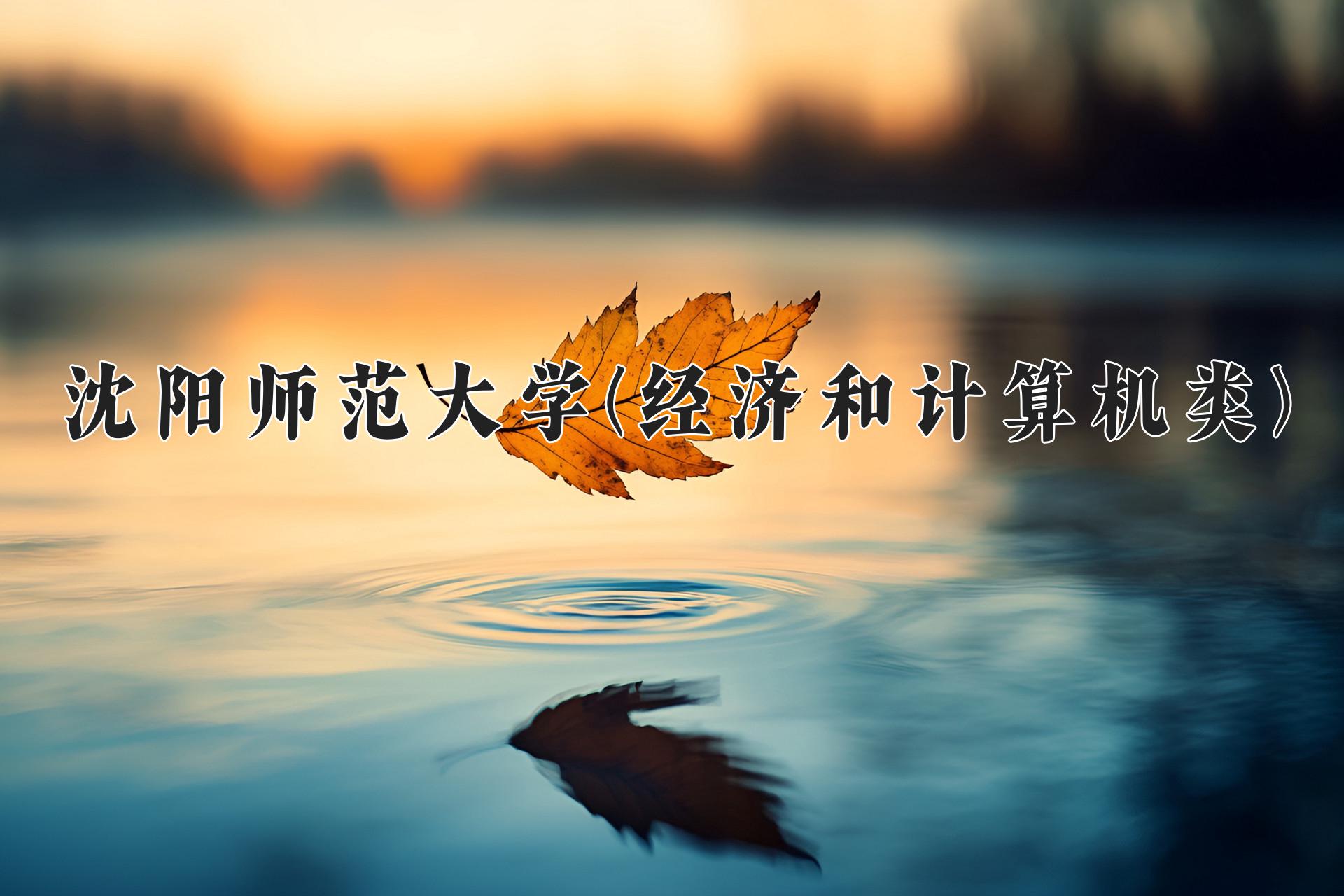 沈阳师范大学(经济和计算机类)近三年录取分数线及位次:四川2022-2024最低分