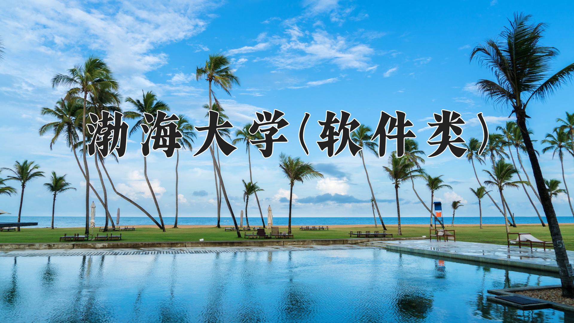 渤海大学(软件类)近三年录取分数线及位次:四川2022-2024最低分