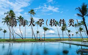 渤海大学(软件类)近三年录取分数线及位次：四川2022-2024最低分