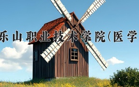 乐山职业技术学院(医学)近三年录取分数线及位次：四川2022-2024最低分