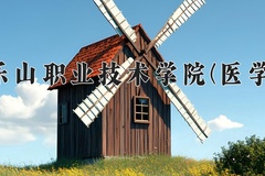 乐山职业技术学院(医学)近三年录取分数线及位次：四川2022-2024最低分