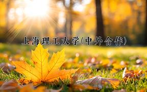 上海理工大学(中外合作)近三年录取分数线及位次：四川2022-2024最低分