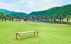 广西自然资源职业技术学院近三年录取分数线及位次：四川2022-2024最低分