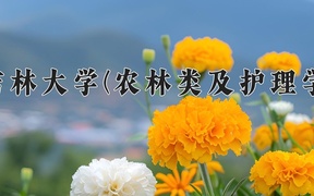 2024年吉林大学(农林类及护理学)录取分数线，内蒙古最低580分