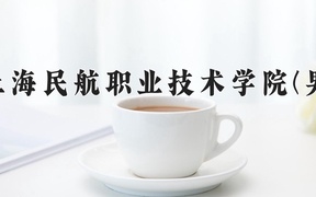 2024年上海民航职业技术学院(男)录取分数线，内蒙古最低216分