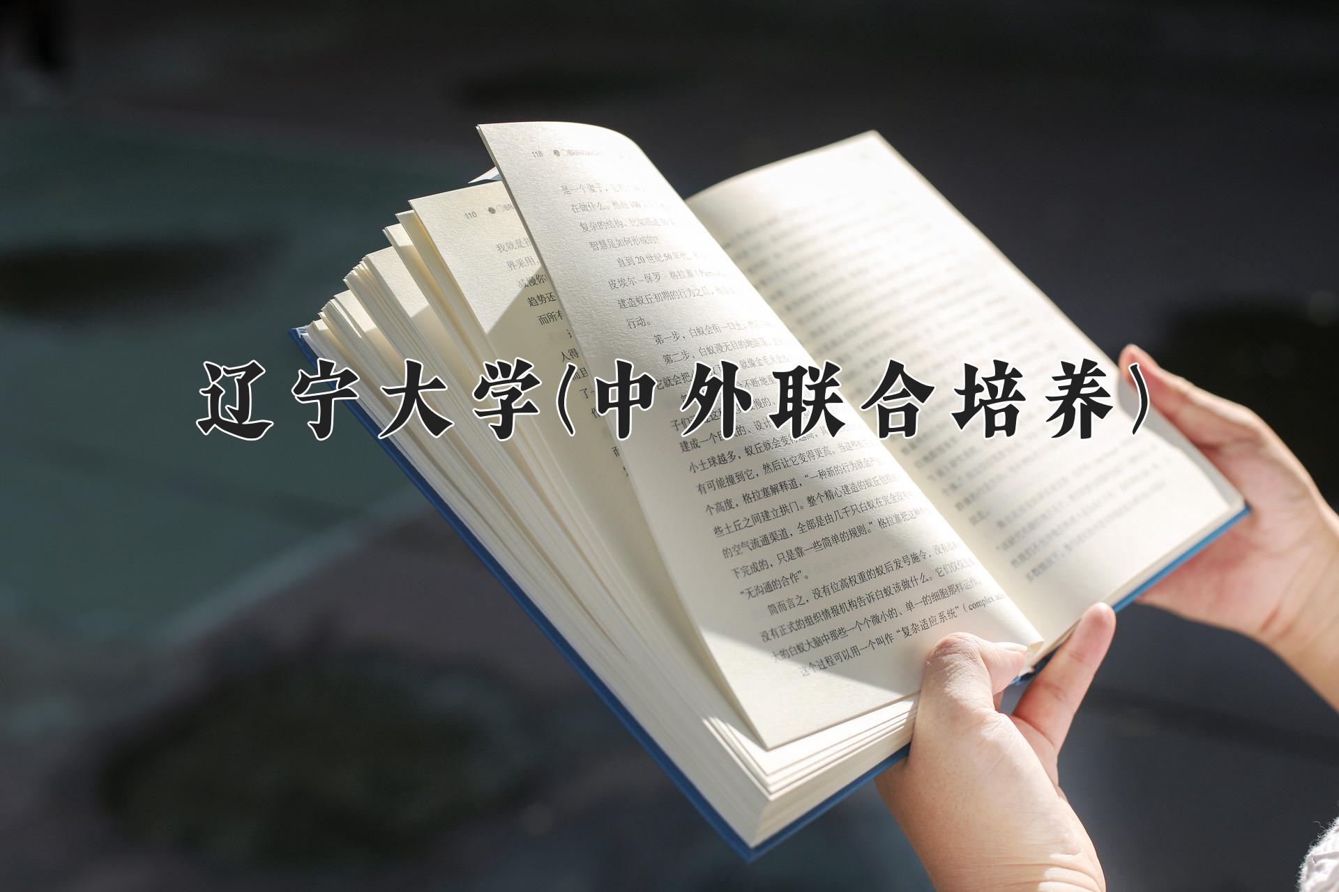 辽宁大学(中外联合培养)近三年录取分数线及位次:四川2022-2024最低分