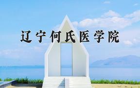 辽宁何氏医学院近三年录取分数线及位次：四川2022-2024最低分