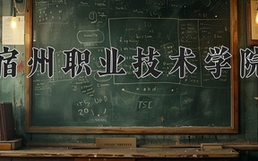 宿州职业技术学院近三年录取分数线及位次：四川2022-2024最低分