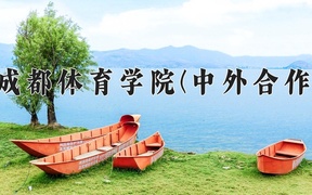 成都体育学院(中外合作)近三年录取分数线及位次：四川2022-2024最低分