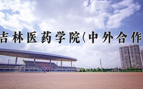 吉林医药学院(中外合作)近三年录取分数线及位次：四川2022-2024最低分