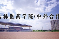 吉林医药学院(中外合作)近三年录取分数线及位次：四川2022-2024最低分