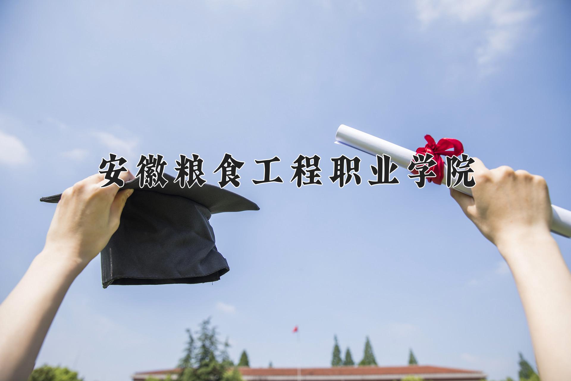 安徽粮食工程职业学院近三年录取分数线及位次:四川2022-2024最低分