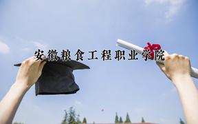 安徽粮食工程职业学院近三年录取分数线及位次：四川2022-2024最低分