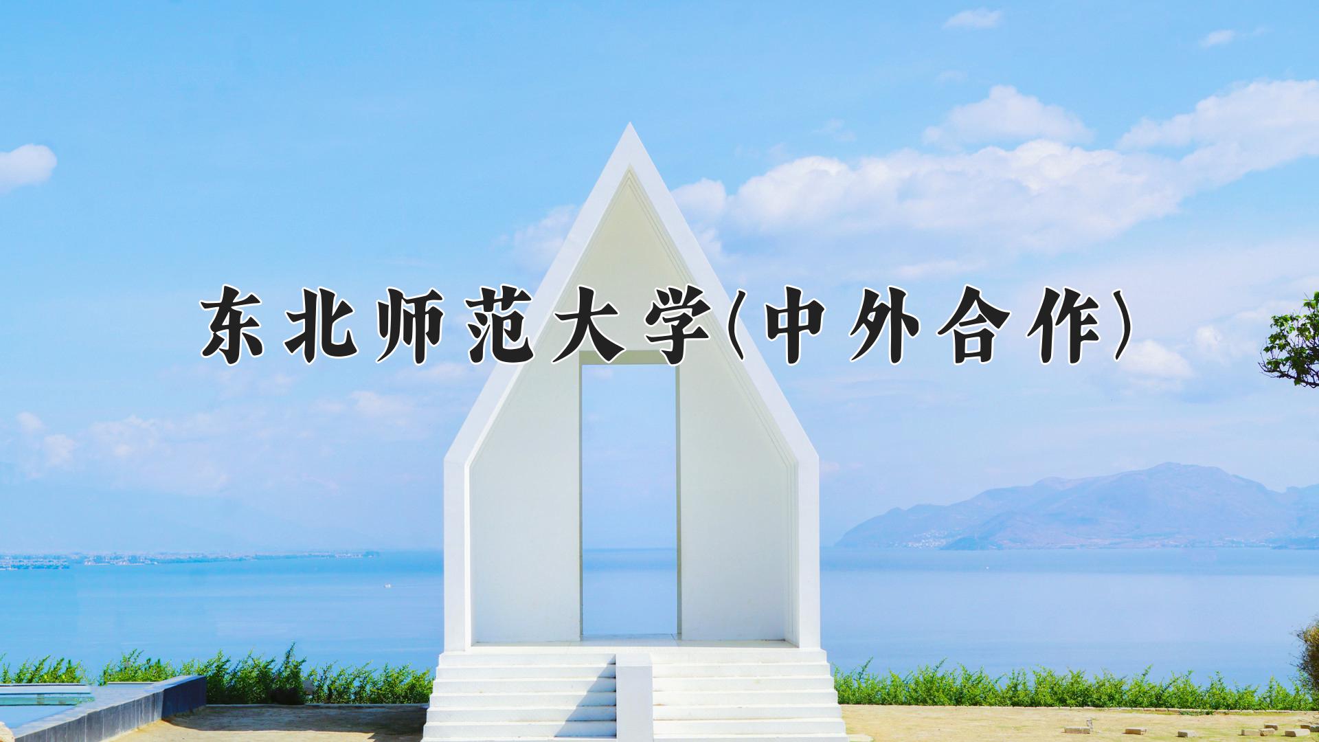 东北师范大学(中外合作)近三年录取分数线及位次:四川2022-2024最低分