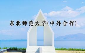 东北师范大学(中外合作)近三年录取分数线及位次：四川2022-2024最低分