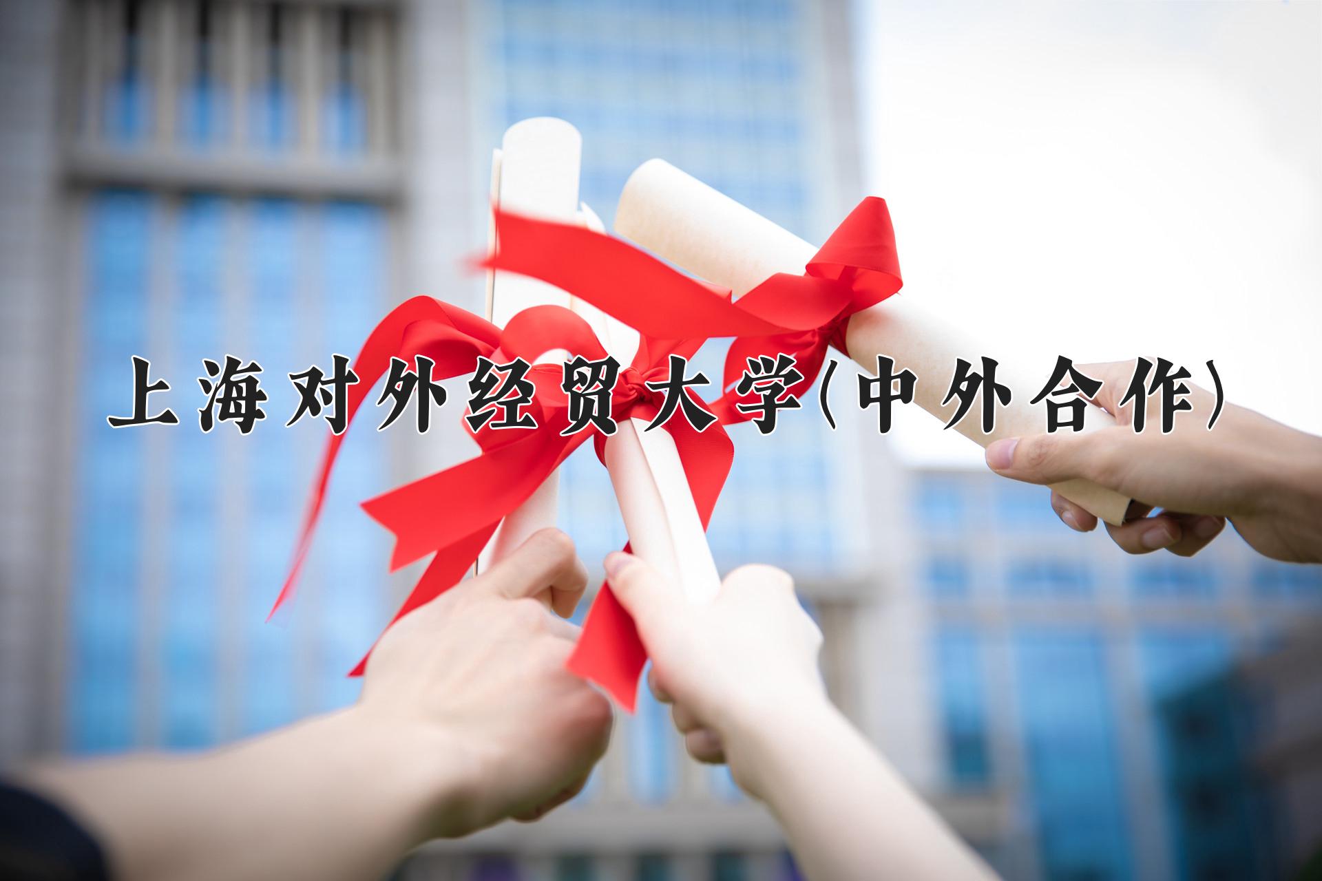 上海对外经贸大学(中外合作)近三年录取分数线及位次:四川2022-2024最低分