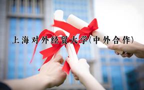 上海对外经贸大学(中外合作)近三年录取分数线及位次：四川2022-2024最低分