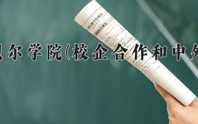 2024年呼伦贝尔学院(校企合作和中外合作)录取分数线，内蒙古最低369分