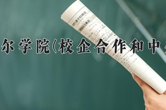 2024年呼伦贝尔学院(校企合作和中外合作)录取分数线，内蒙古最低369分