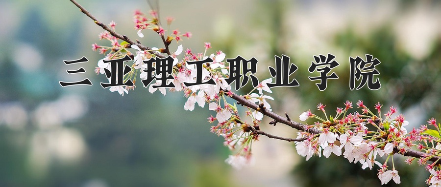 三亚理工职业学院近三年录取分数线及位次:四川2022-2024最低分