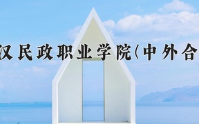 武汉民政职业学院(中外合作)近三年录取分数线及位次：四川2022-2024最低分