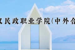 武汉民政职业学院(中外合作)近三年录取分数线及位次：四川2022-2024最低分