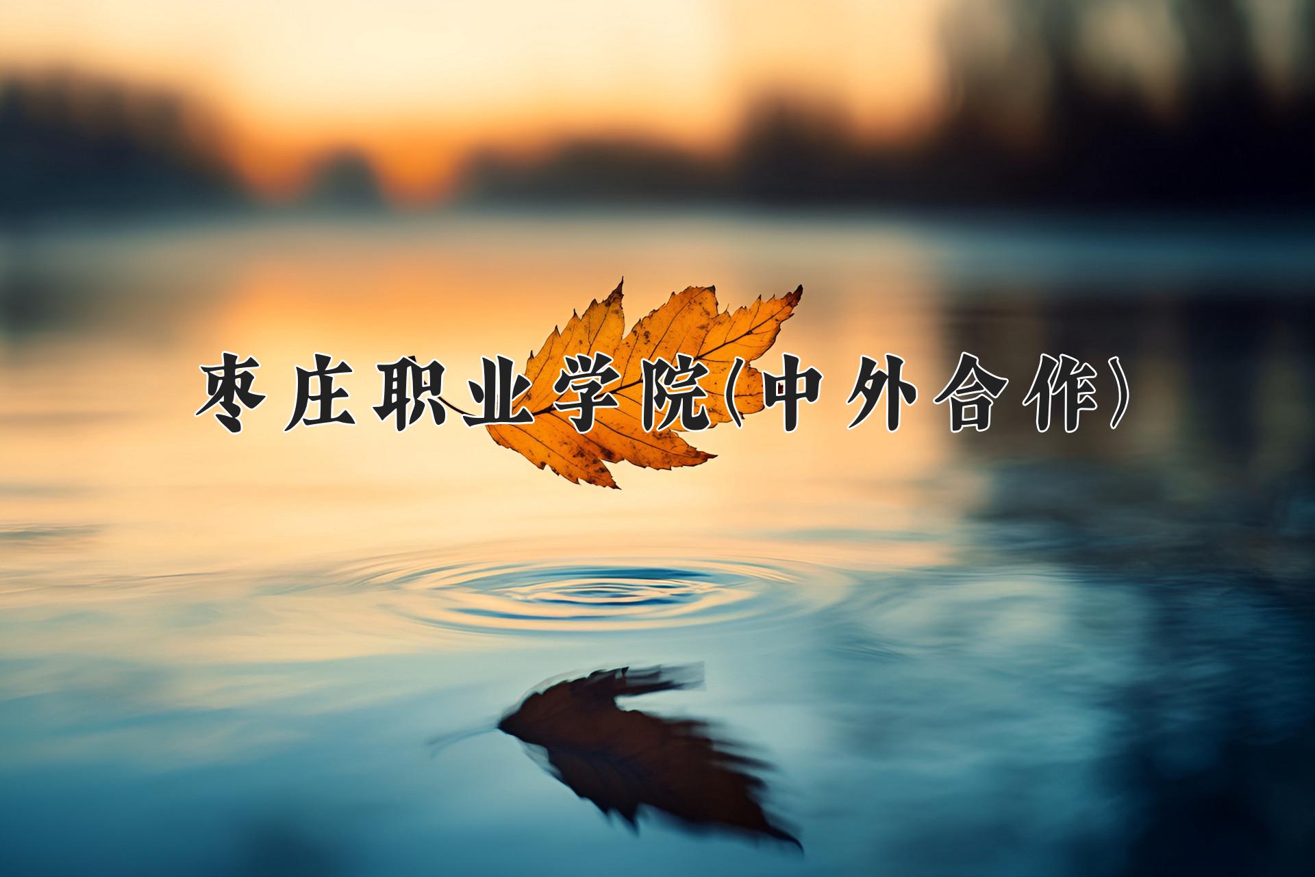 枣庄职业学院(中外合作)近三年录取分数线及位次:四川2022-2024最低分