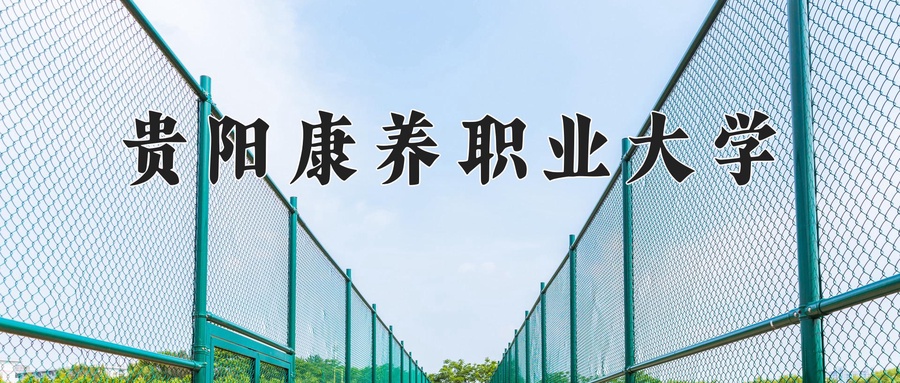 贵阳康养职业大学近三年录取分数线及位次：四川2022-2024最低分