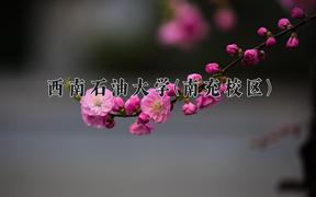 西南石油大学(南充校区)近三年录取分数线及位次：四川2022-2024最低分