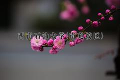 西南石油大学(南充校区)近三年录取分数线及位次：四川2022-2024最低分